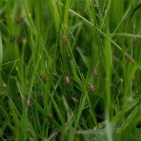 ������� ������������ � ������ ����� ������