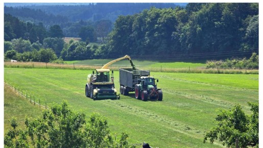 ��� ����������� ���� ������ � ��������� ������