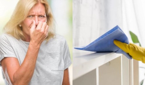 Проверенные способы борьбы с неприятными запахами в квартире