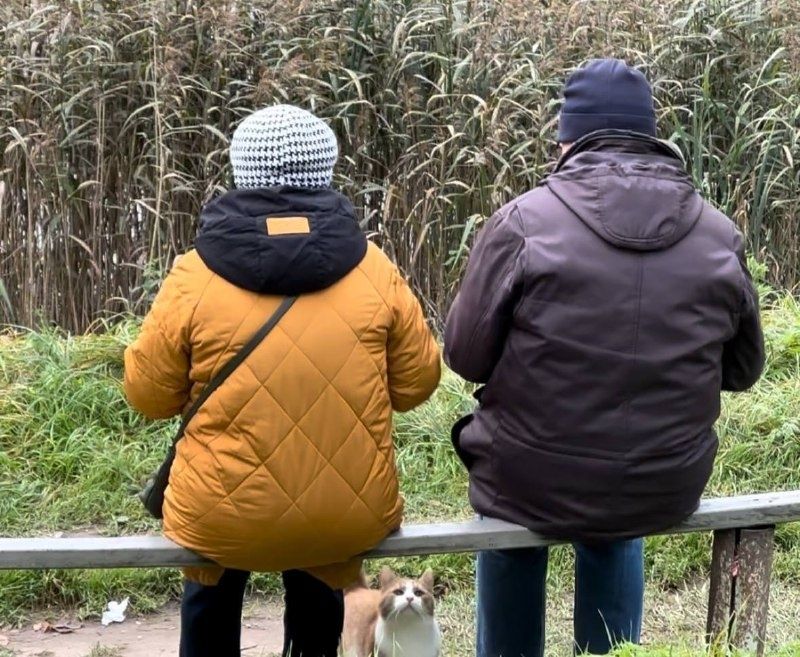 ������ ���� �� 1997 ���� ��� ����� ��� �����������