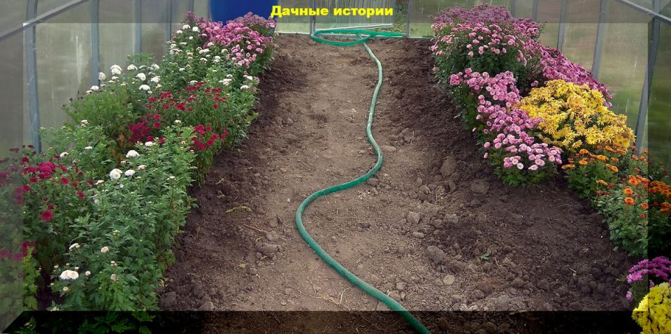 ������� ���������� �����������: ������� ����� � ��������� ����������