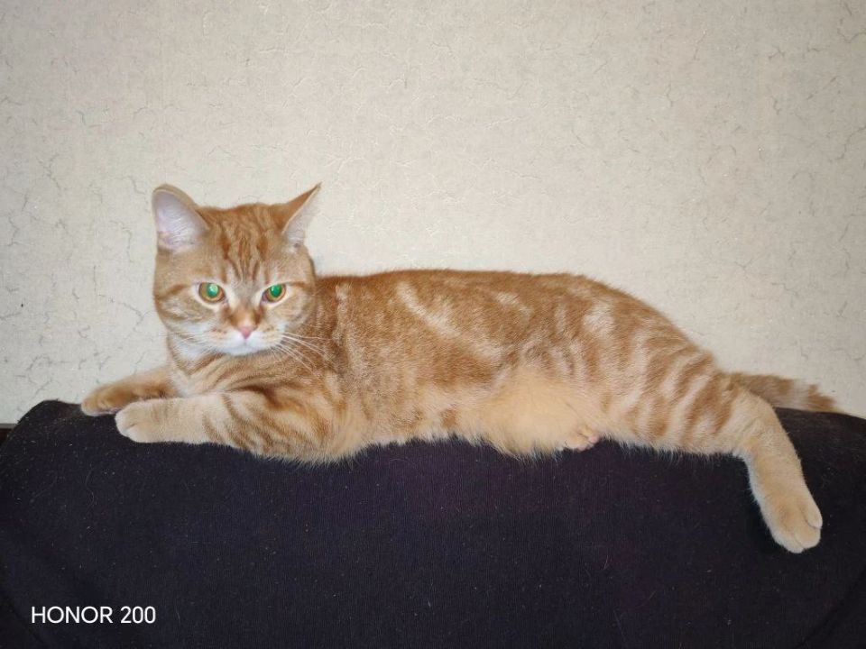 � ������ �� ������. 24 ������� � ��������� ������������ ���������� ����������, ��� �������