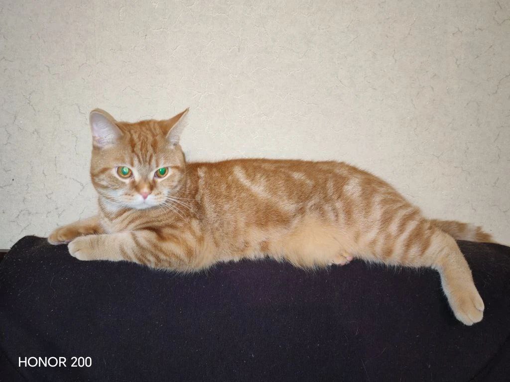 О погоде на завтра. 24 февраля в Астрахани прогнозируют переменную облачность, без осадков