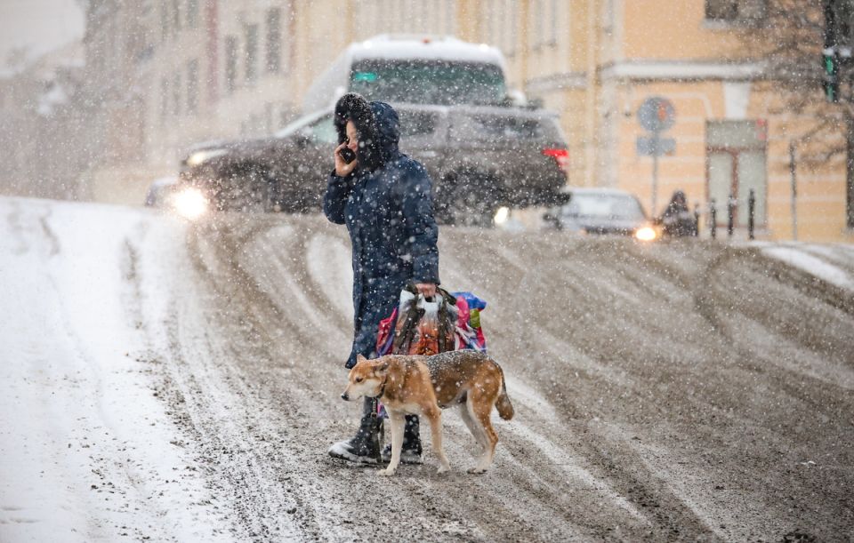 ������������� �� ���������� ������������ � ����������� �������� � �������� ������