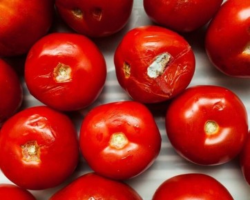 �������� � ��������: ����������� ����������� �� �������������