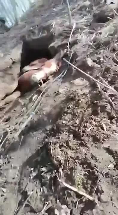 � ��������� ������ ��������� ������ ����������� � ���