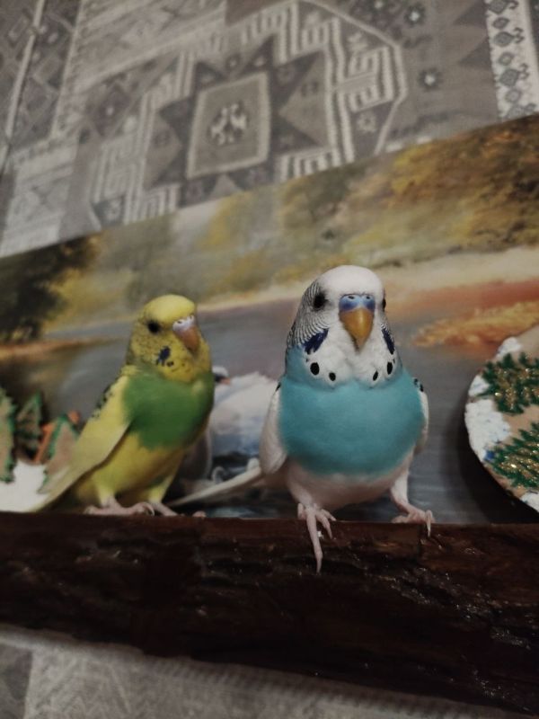 � ������ �� ������. 25 ������� � ��������� ������������ �������� � ������������ ������, ��� ������������ �������