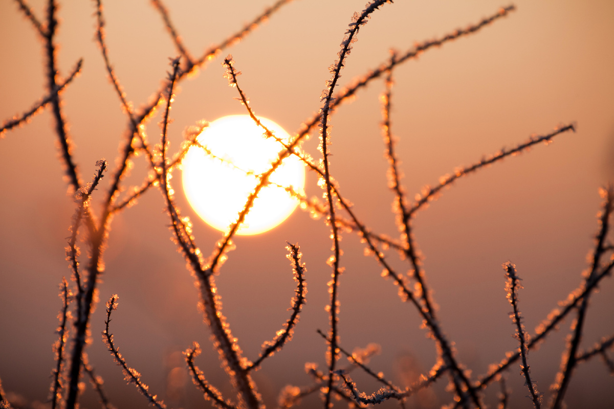 Правовое управление Госдумы раскритиковало закон, угрожающий особо охраняемым природным территориям