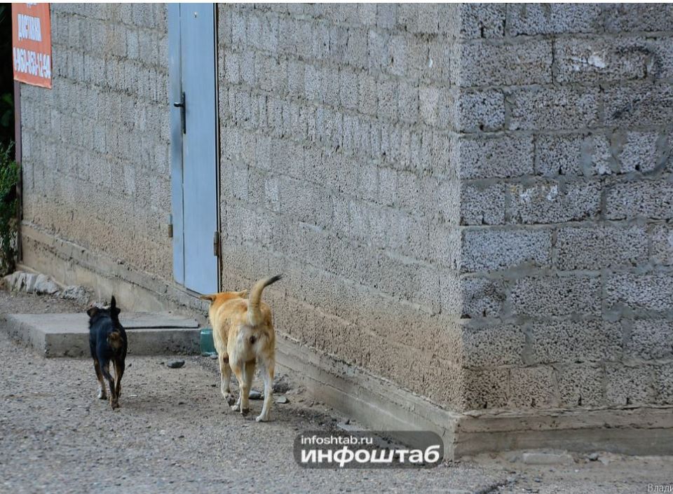 � ��������� �������� �� ���������� � ���� ��������� ����� ��������� ������