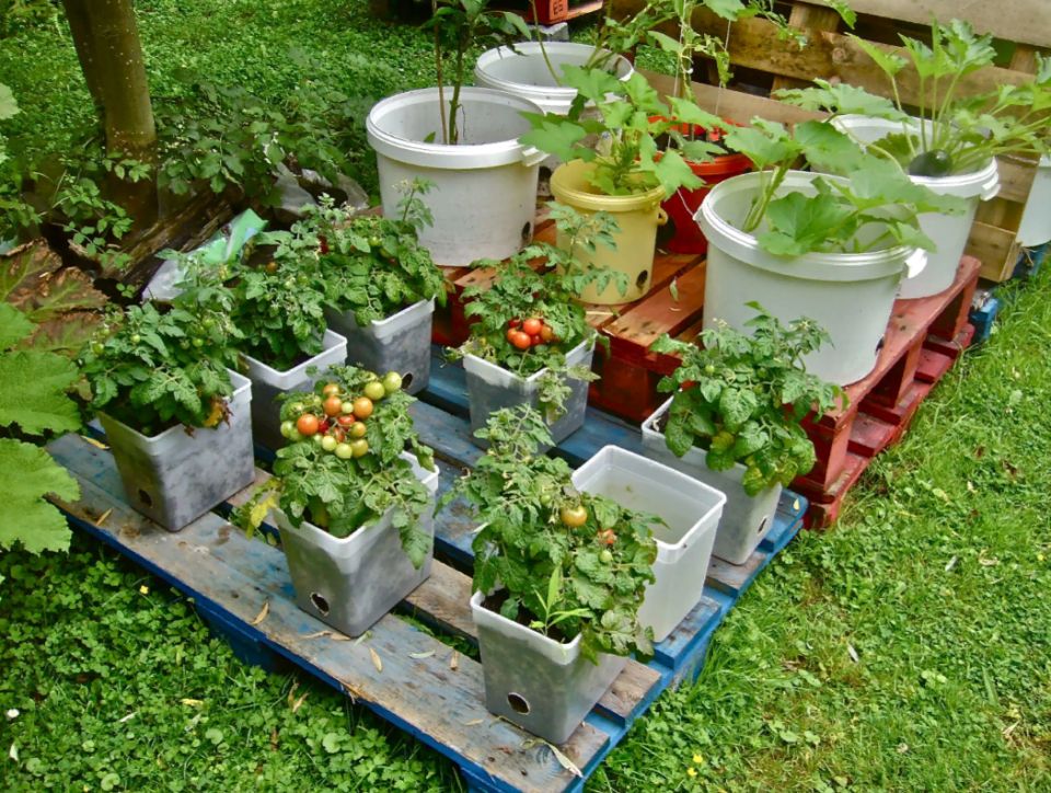 ��� ������� ������ ������ �� ��������� �������: ������ ����������� ����������