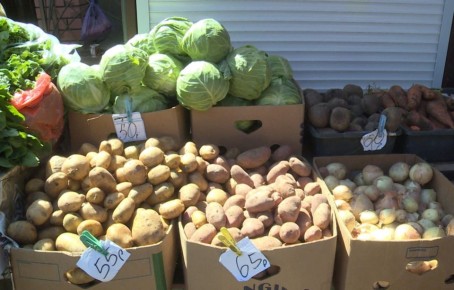 � ������������ ������� ������� ���� �� ���������