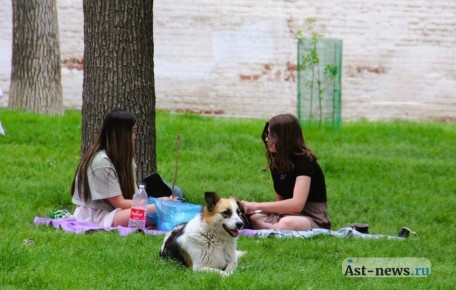 Юных астраханских фотографов приглашают на конкурс