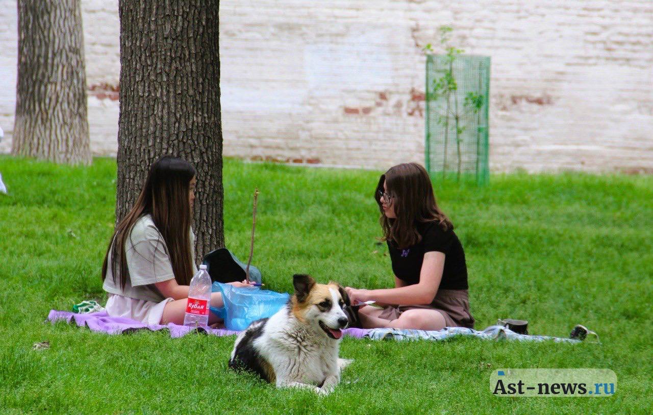 Юных астраханских фотографов приглашают на конкурс