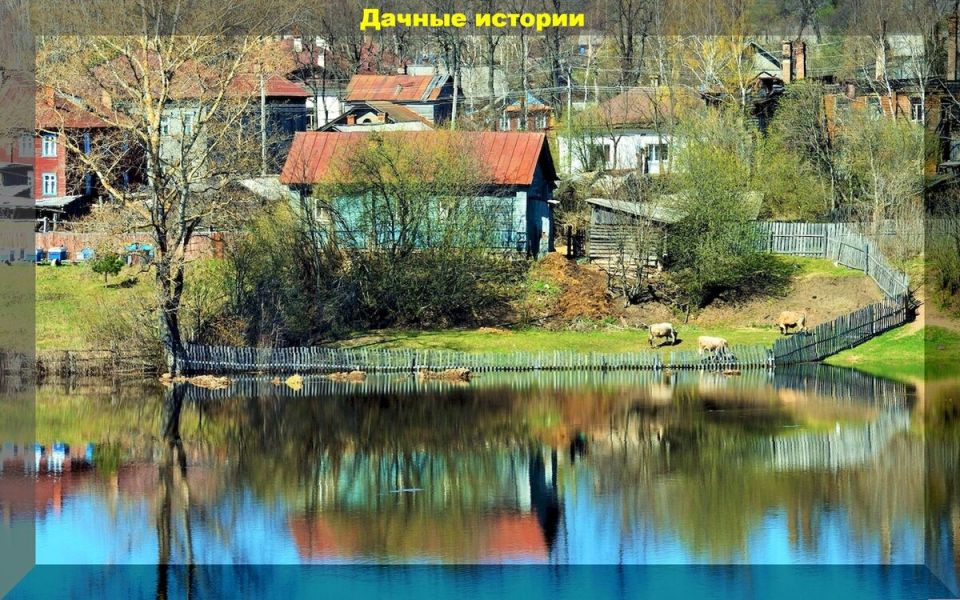 ������ �� ����� ���������� ������� ���������� ��������