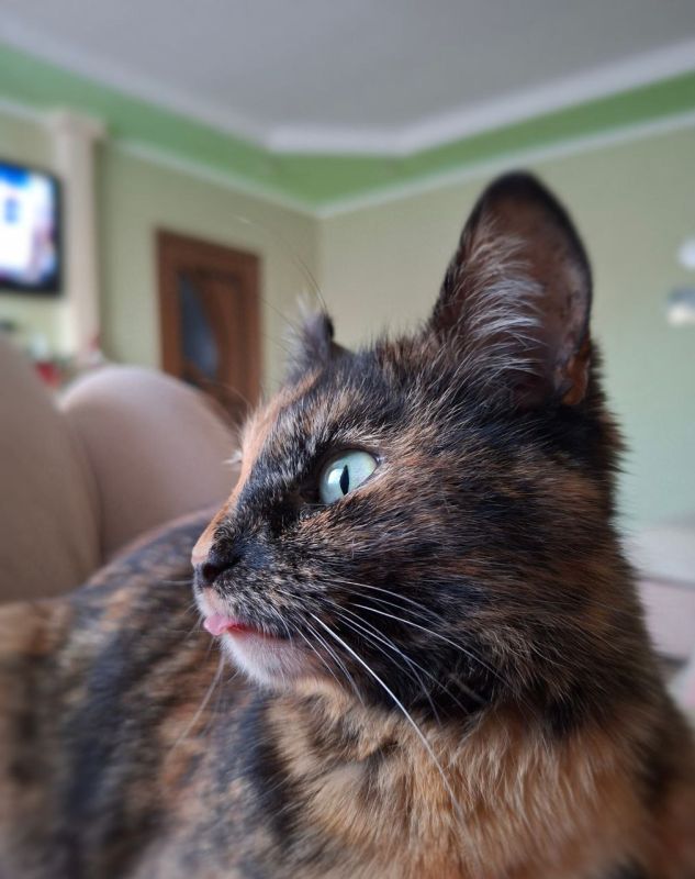 � ������ �� ������. 27 ������� � ��������� ������������ �������� � ������������ ������, ��� ������������ �������