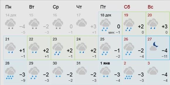 Зимний сад: как снег изменяет ландшафт