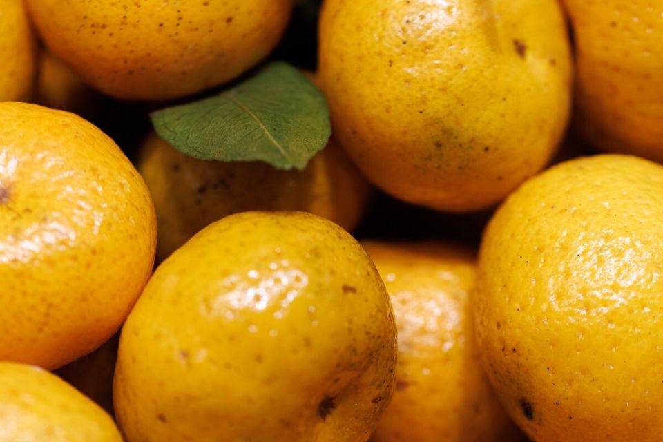 ��� ������� ��������� ��������: ������� ������ ��� �������� �������