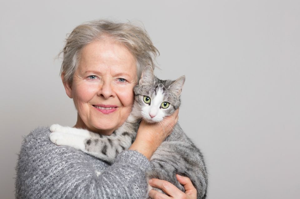 �����������, �� �����: 12 ����������� ��������� �������� ��������