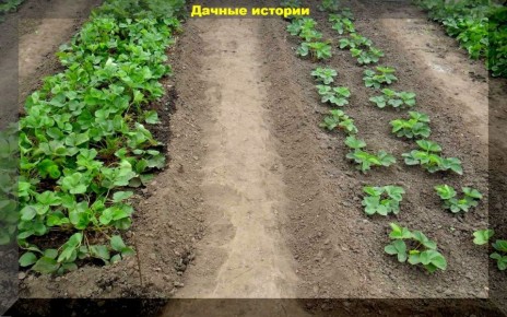 �������� ������ � ��������: ��� ����������� ������ � �������� �������� �� ����������