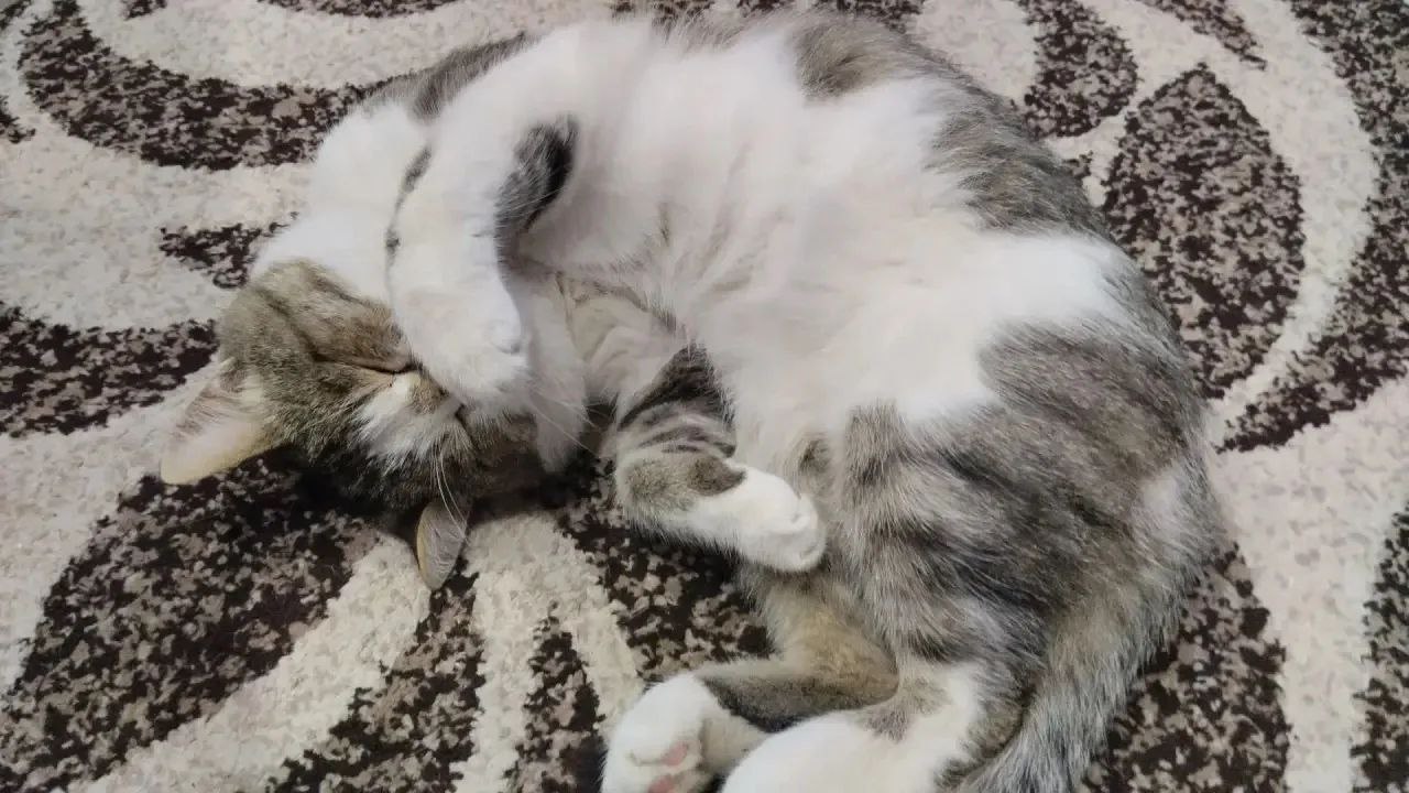 О погоде на завтра. 1 марта в Астрахани прогнозируют переменную облачность, без осадков