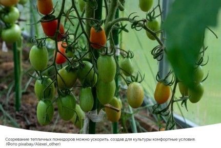 ������ �� ��������� ���������� ������� � �������