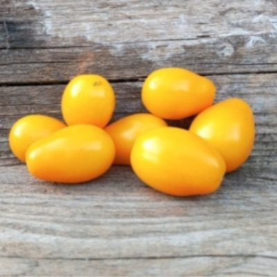 Томат Голубиное сердце: яркая находка для вашего огорода