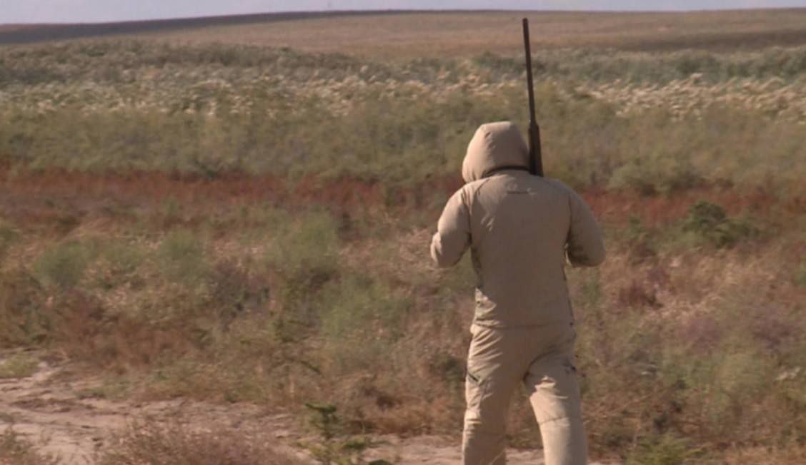 Сегодня завершается сезон охоты на пушных зверей в Астраханской области