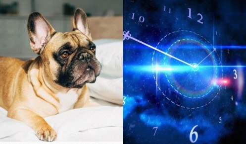 ����� ������� ��������� �������� �������� ������ ����� �������?