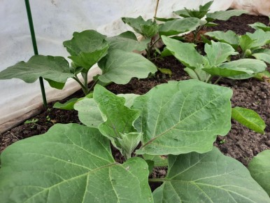 ������� ��������� ������ ����������: ��� ������, ������� ����� ��������