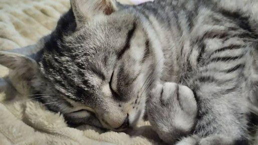 8 �����: ����� ��������� �������� � ������ ������ ��� ����� � ����� ����������