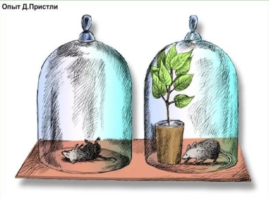 ��� ���� �������� ������ �� ��������: ������� ������