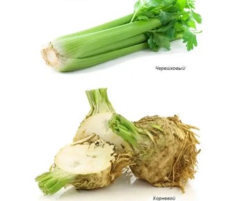 ��� ��������� ���������: ������� ������� ��������� � ����������� �����