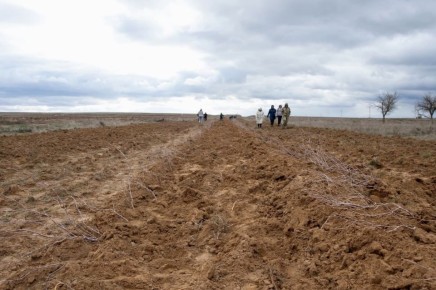 � ������������ ������� ���������� ���������� �����