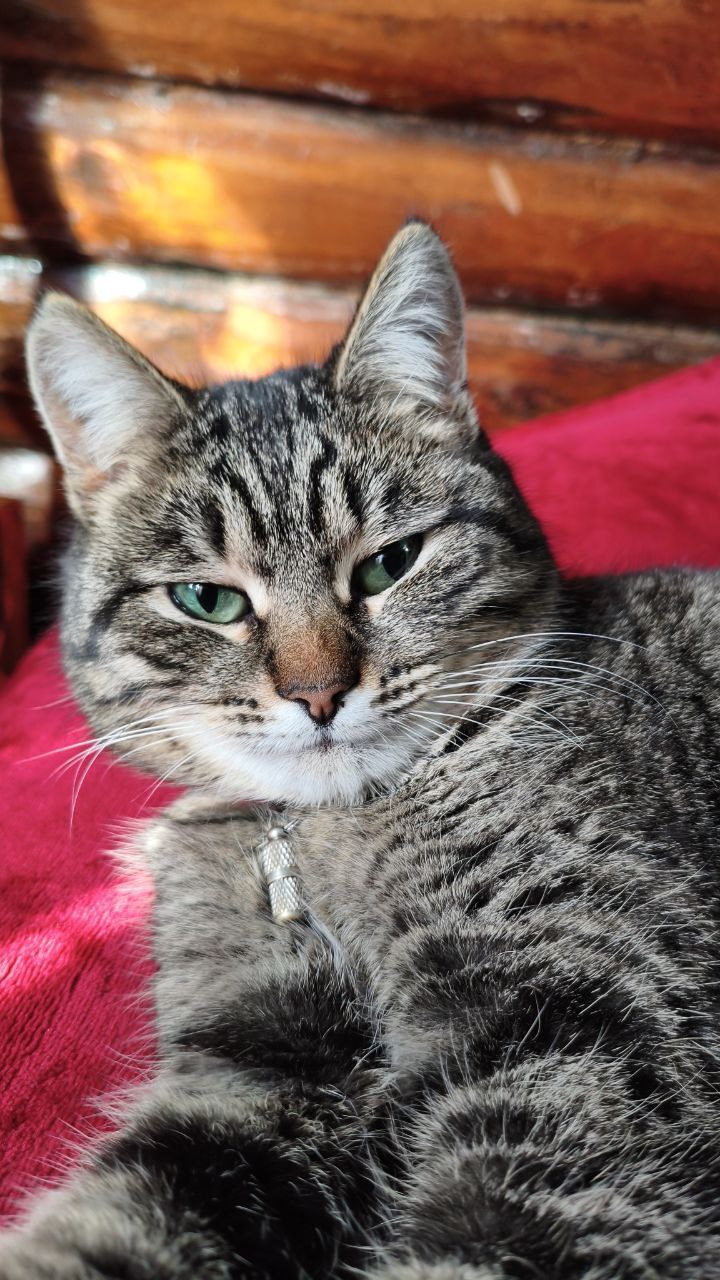 О погоде на завтра. 3 марта в Астрахани прогнозируют переменную облачность, без осадков