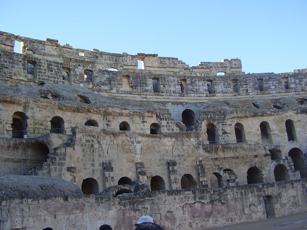 Сладкая альтернатива: как финики стали настоящей находкой для любителей сладкого