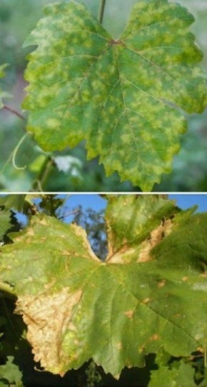 ��� ���������� � ������ ������� ���������: �������� ������ ��� ���������