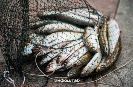 � ������ ����� ��������� ���� ����������� ����� ���������� �����