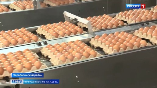 ������������� ������������ � ������������ ������� - 50 ��� ������ �� ��������