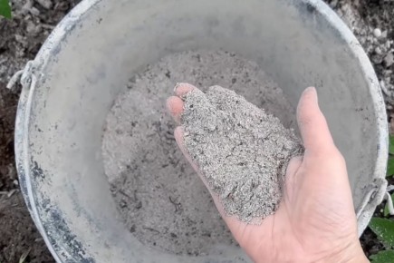 ��������� ����: ������� ��������� � ������ �� ����������