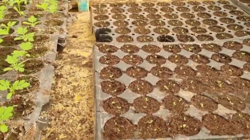 ����� �������: ������ �������� ��������� � ��������� ��������� ���������, ��� ������ ������ ����� ���� ���������� � �������� ������� ������, ����������� � ��������