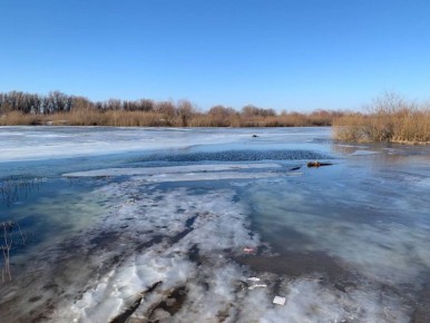 ������������ ������� ������������ �������� �� ����� ������ ������