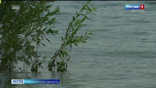 � ������������ �������� � ����� �������� ���������