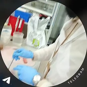 � ��������� ������ "�����. ������������ �������" - ���������� "�����" ������������� ������ ������ ������������ � �������� ��������� ����������������� ���������