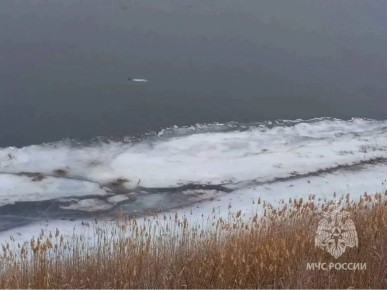 ������ ��� ���� ����� ������