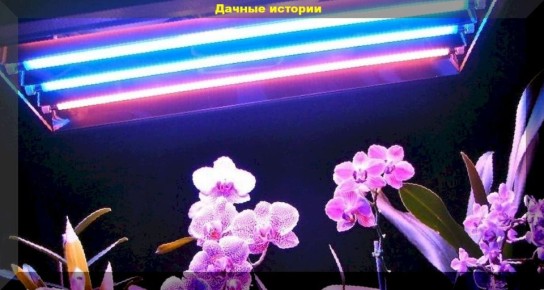 ��� ���������� �� ��������� �������: ��������� ��� ����������������� �����?