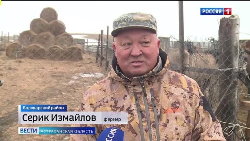 ������� ������������� �����������-����������� ��������� �������� ������� ��������