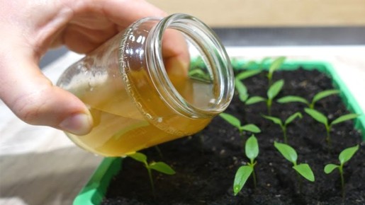 ��� ������� ����������� �������� ������� ����� ������� ����� �������