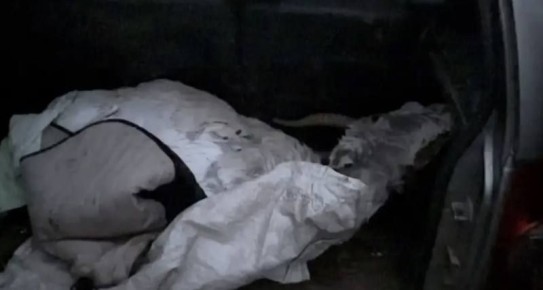 ����������������� ���������� � ������������� ���������� ����� ���������, ��������� ������� � ��������