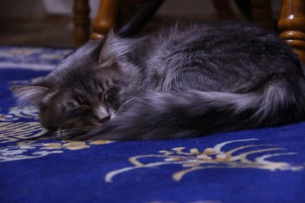 � ������ �� ������. 10 ����� � ��������� ������������ ��������� ����������