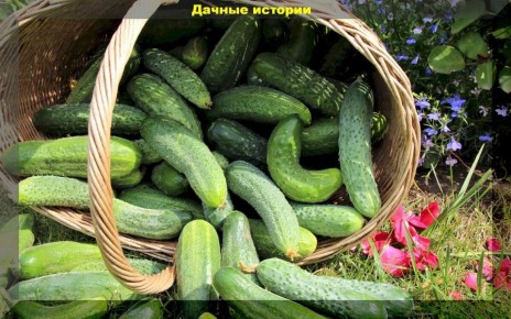 ������ ��������� ����� ������� � ������� ������� �� ��������� ����